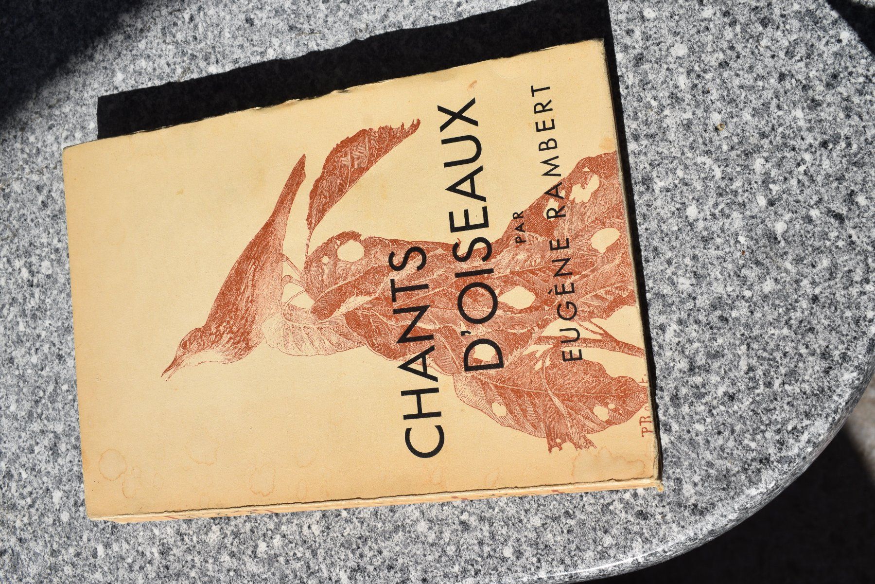 Libri: Antikes Vogelbuch "Chants d'oiseaux" von Eugene Rambert – Usato da Brügg BE venduto da Aristotolius