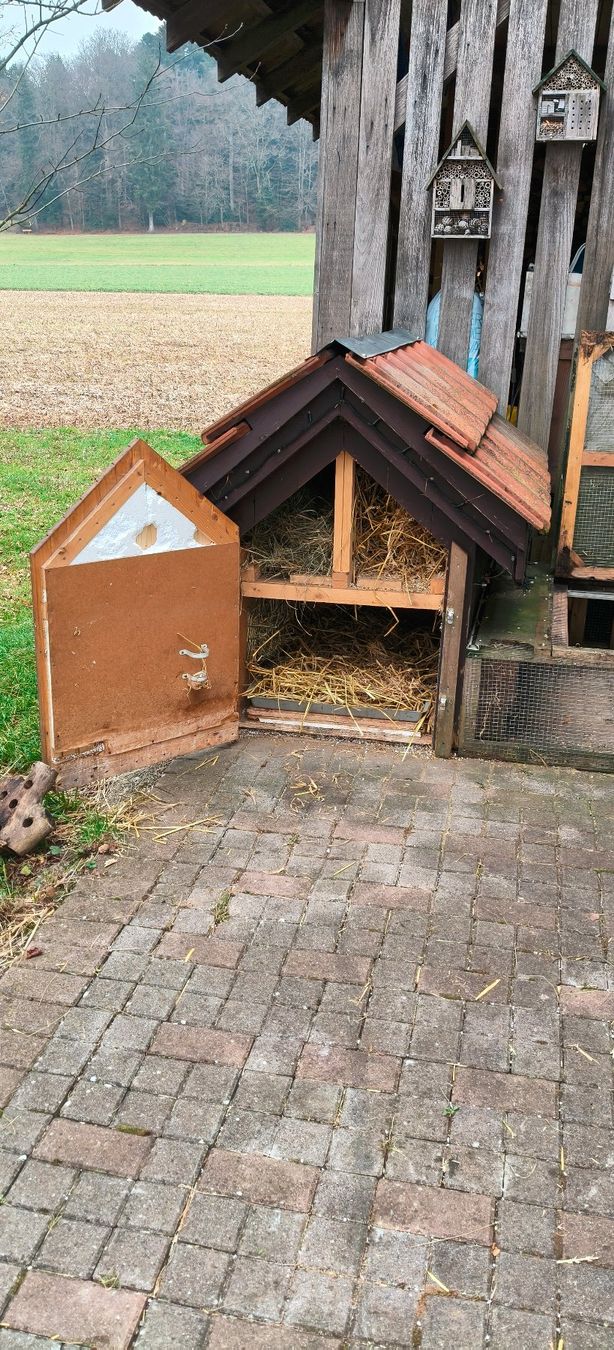 Cucce & Letti: Keintierstall / Hundehütte – Usato da Lotzwil venduto da Schaub4932 6
