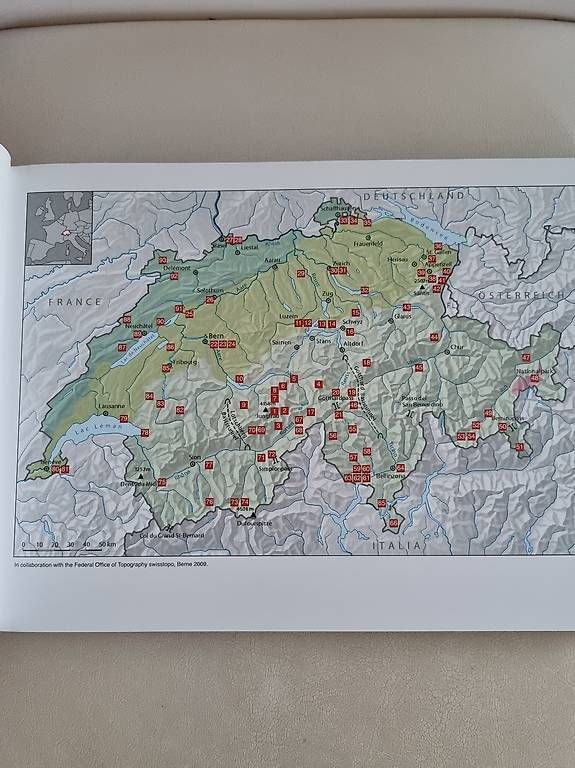 Libri: Buch Switzerland – Usato da Triengen venduto da hap_5f5y 1