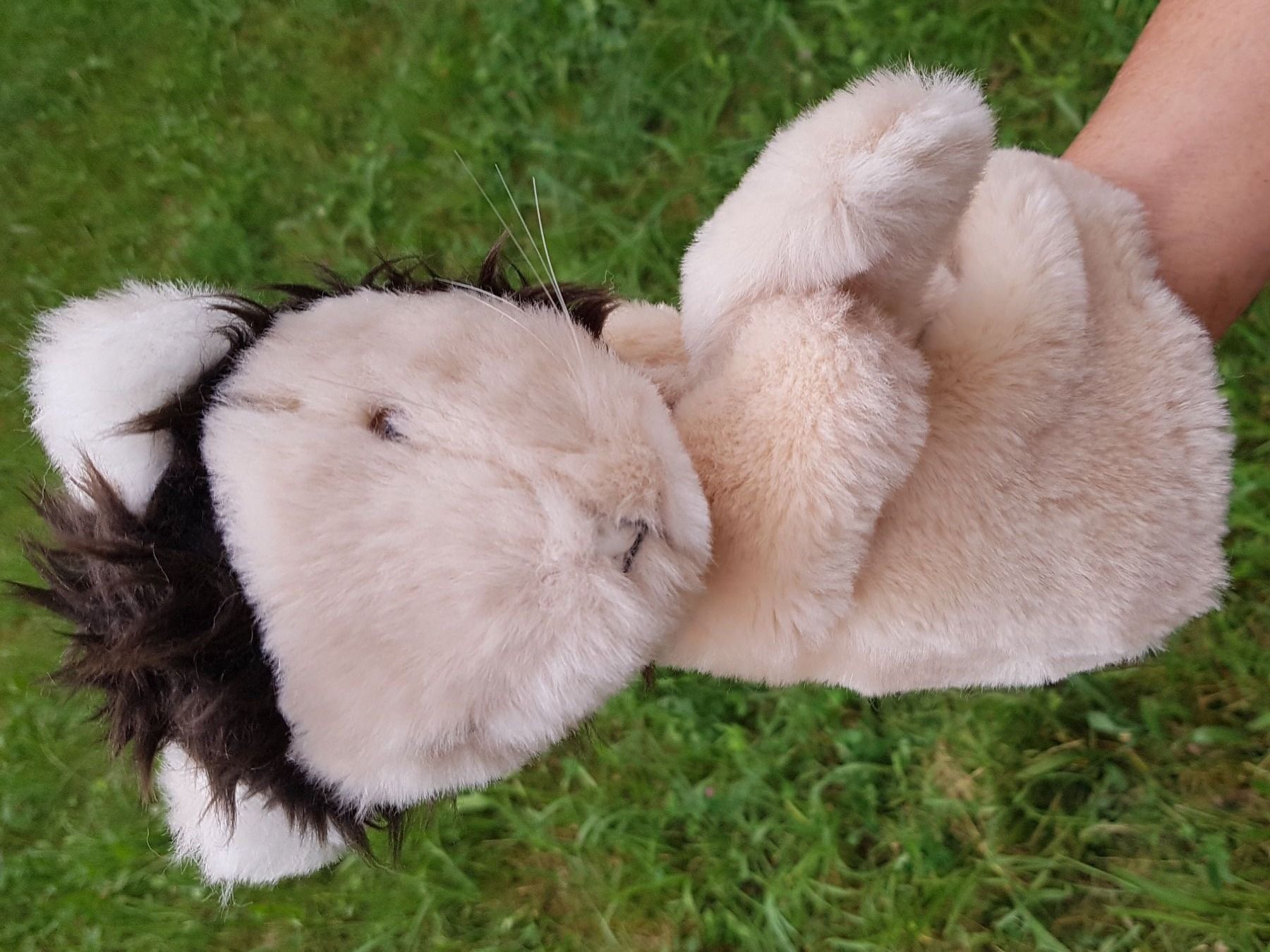 Bambole: Handpuppe Löwe "SUZY QUALITY" / NEU – Nuovo e nell'imballaggio originale da Dürrenäsch venduto da Didaedi 2