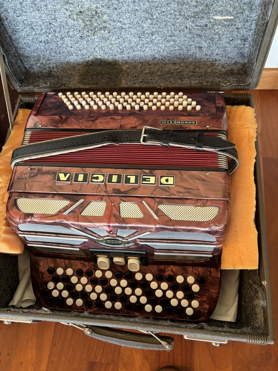 Strumenti musicali: Akkordeon Delicia Sonorex 3 – Usato da Uznach venduto da voegeli93