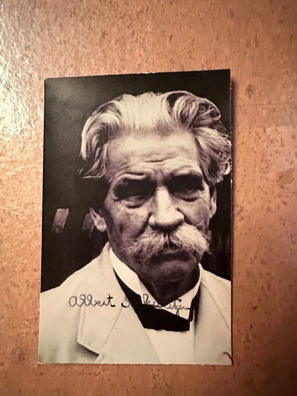 Autografi: Originalautogramm von Albert Schweitzer – Usato da rafz venduto da Ttt0071