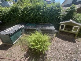 Hasengehege zu verkaufen