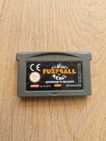 Nintendo Game Boy Advance "Die wilden Fussballkerle" Spiel