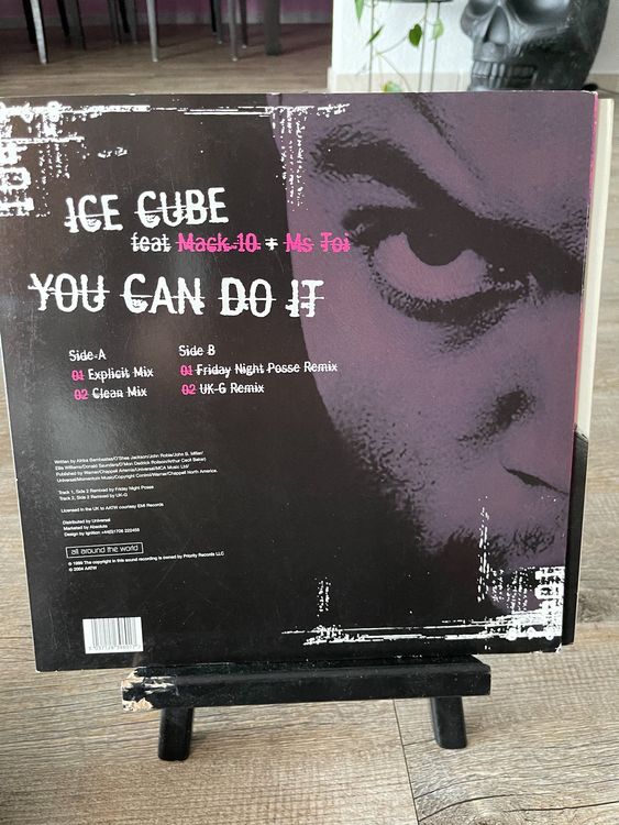 Ice cube you can do it kaufen auf ricardo