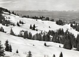 Skigelände Selital