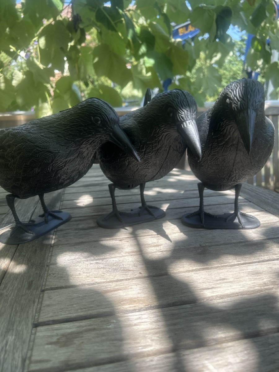 Statuette: Vogelscheuche Raben 3er Set schwarzes Kunststoff neu – Usato da Arlesheim venduto da and_p9d8 1