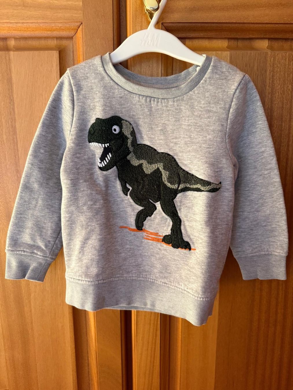 C&A Maglioni & Felpe: Pull C&A garçon taille 104 dinosaure gris excellent état – Nuovo (secondo la descrizione) da Monthey venduto da Chez-Dani-81 2