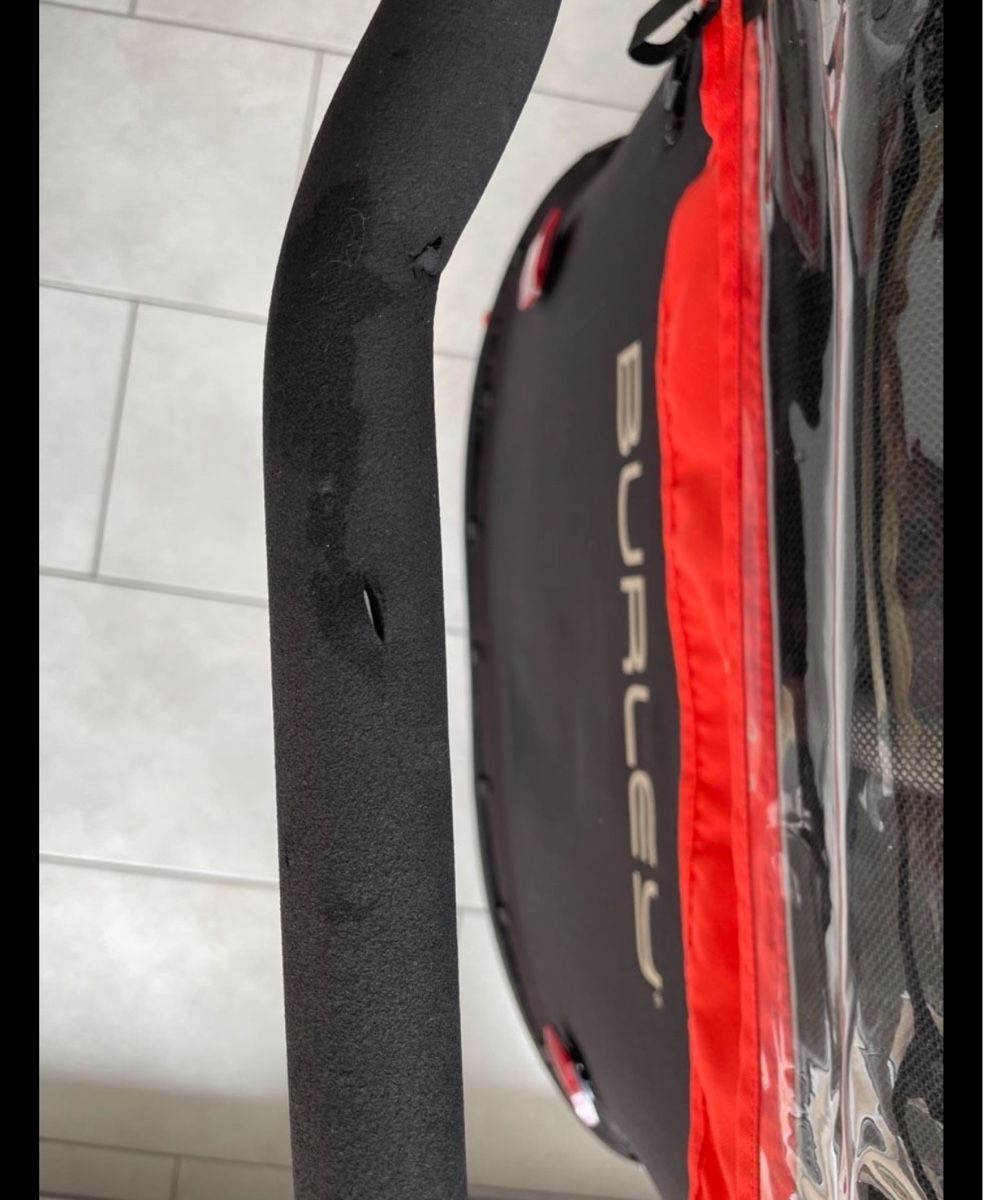 Burley Rimorchi: Veloanhänger Burley Cub X – Usato da Grüt (Gossau ZH) venduto da Alumbrado 6