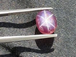 STERN SPINELL  purpur  / rot   3.50cts  Sri Lanka