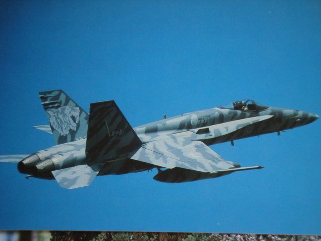 Cartoline postali: McDonnell Douglas CF-18 "Tiger Bird" Hornet – Nuovo e nell'imballaggio originale da Thun venduto da Abigboss