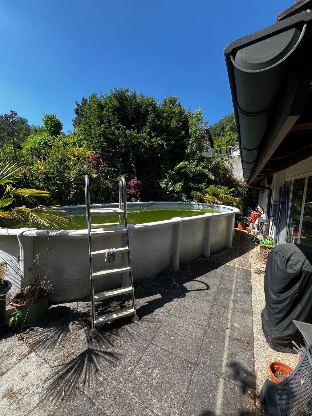 Piscine: Pool 6,8 x 3.8m ab 1 Franken – Usato da Muttenz venduto da Jutronic