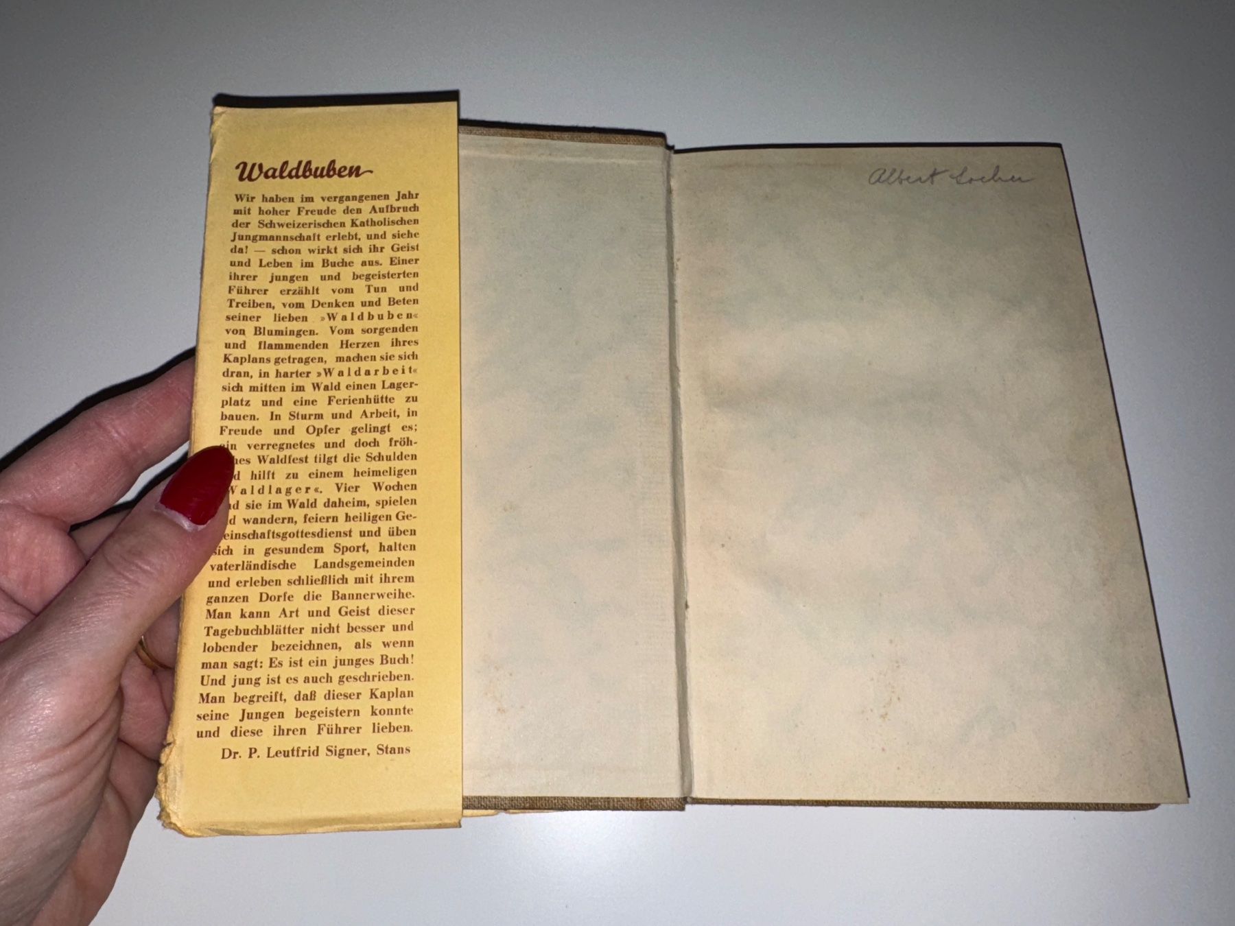 Libri: BUCH: Josef Konrad Scheuber, Waldbuben – Usato da Grosswangen venduto da Second_hand_paradise 2