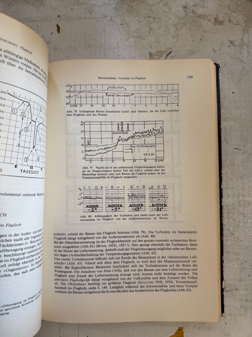 Libri: Biene und Bienenzucht – Usato da Dietikon venduto da Buchantiqdietikon 3