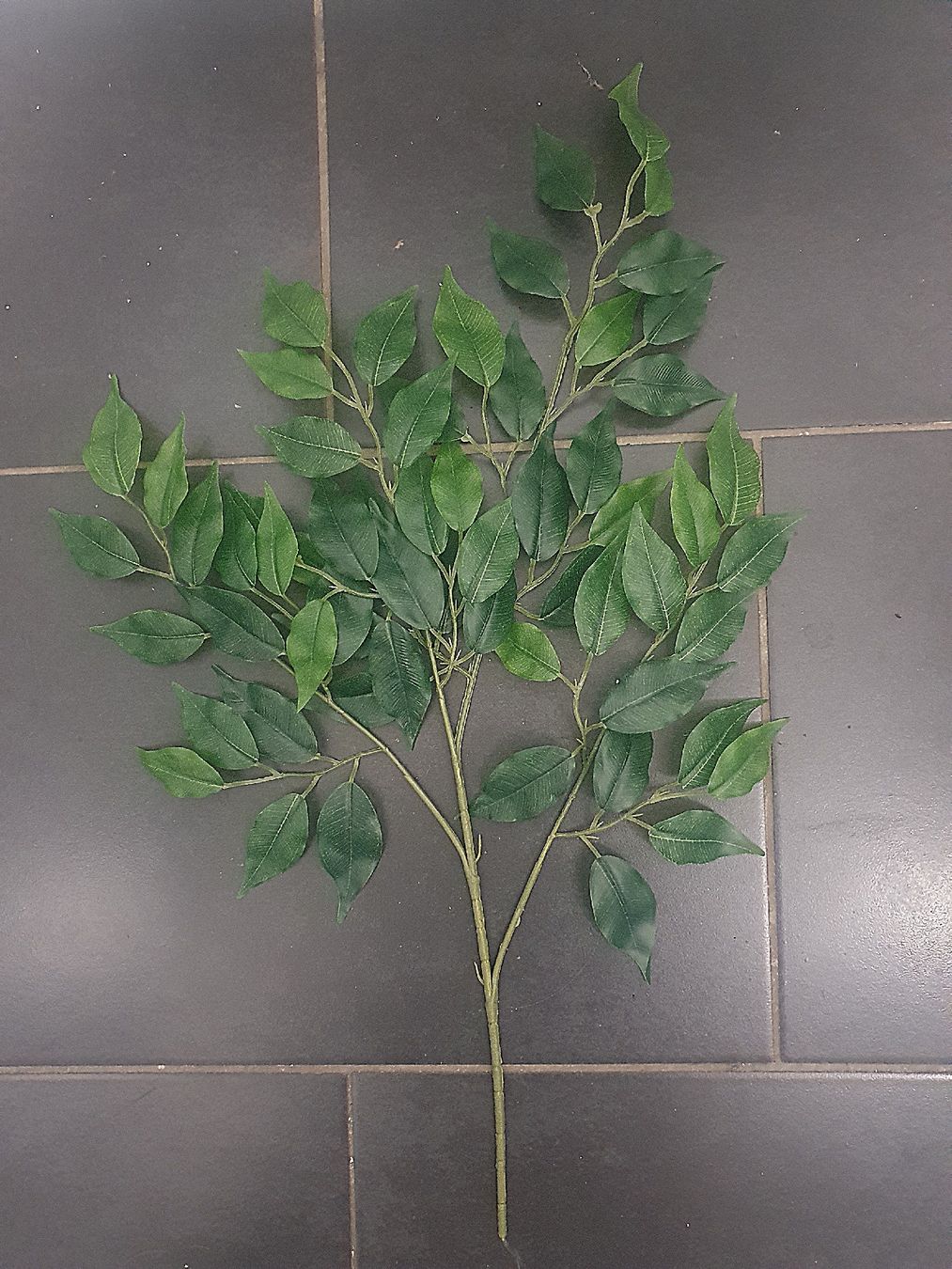 Piante & sementi: Ficus Baum künstlich 3 Stk – Nuovo (secondo la descrizione) da Emmenbrücke venduto da Housestone 4