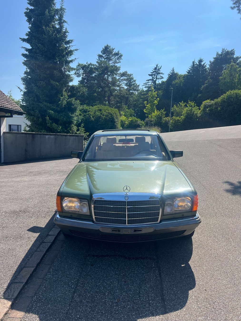 Mercedes-Benz Autos: Mercedes 280 SE – D'occasion à Hägendorf par noelwyss 8