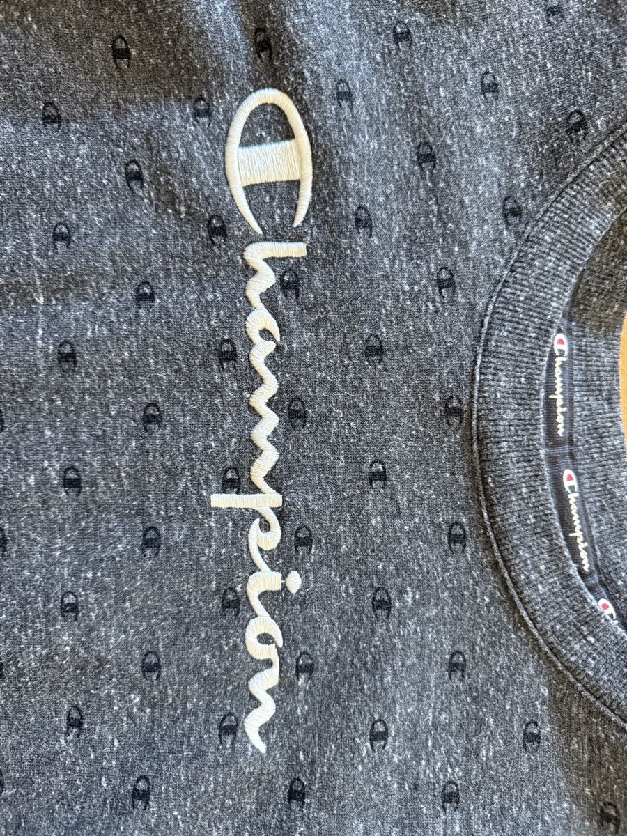 Champion Maglioni & Felpe: Champion Pulli Grösse L – Usato da Rütihof venduto da miak2000 1