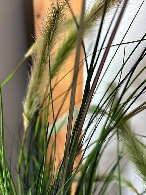 Piante & sementi: 2 Kunst Grünpflanzen – Usato da Zihlschlacht venduto da Ceedy 1