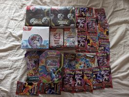 Pokemon Sammelkarten Booster Packs Konvolut neu! englisch 