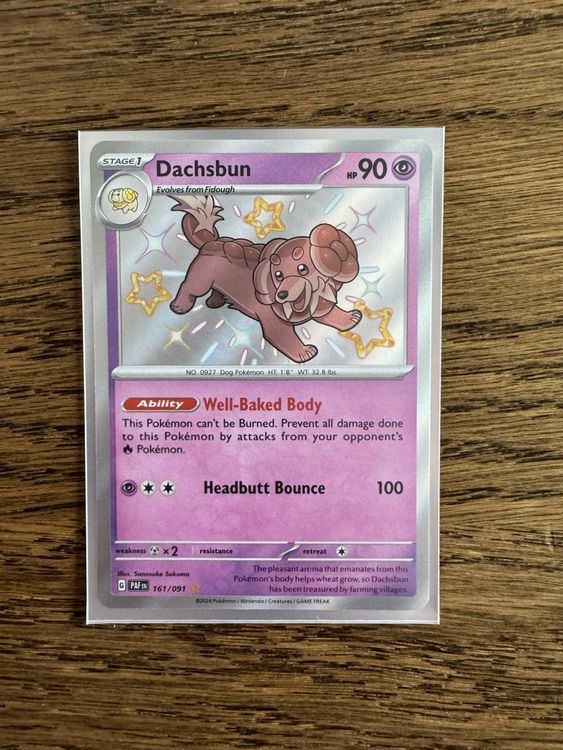 Dachsbun 161/091 Shiny Rare Paldean Fates NM/M main image 0