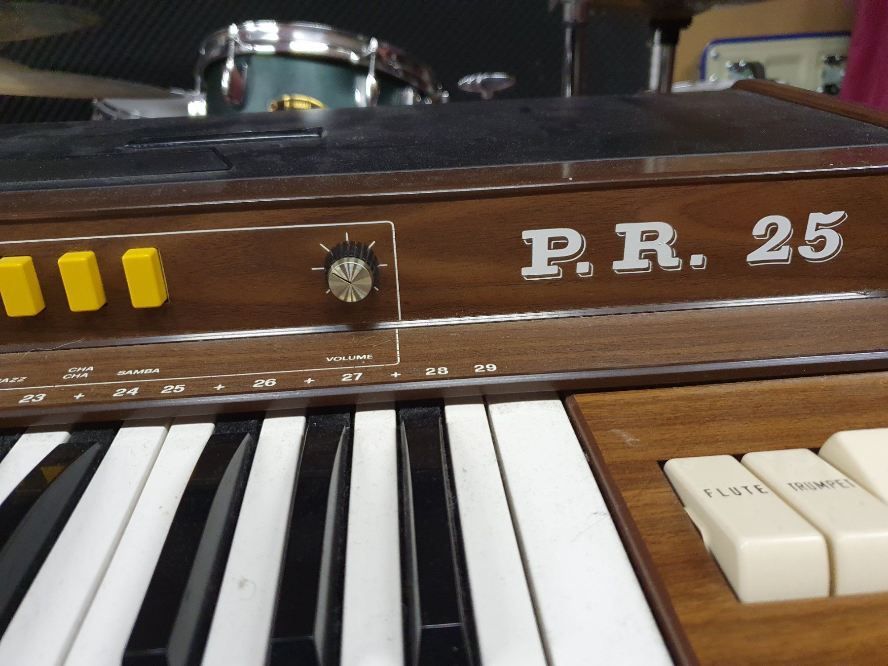 Instruments de musique: Orla Compact Orgel, P.R. 25 – D'occasion à Zollbrück par Murminum 3