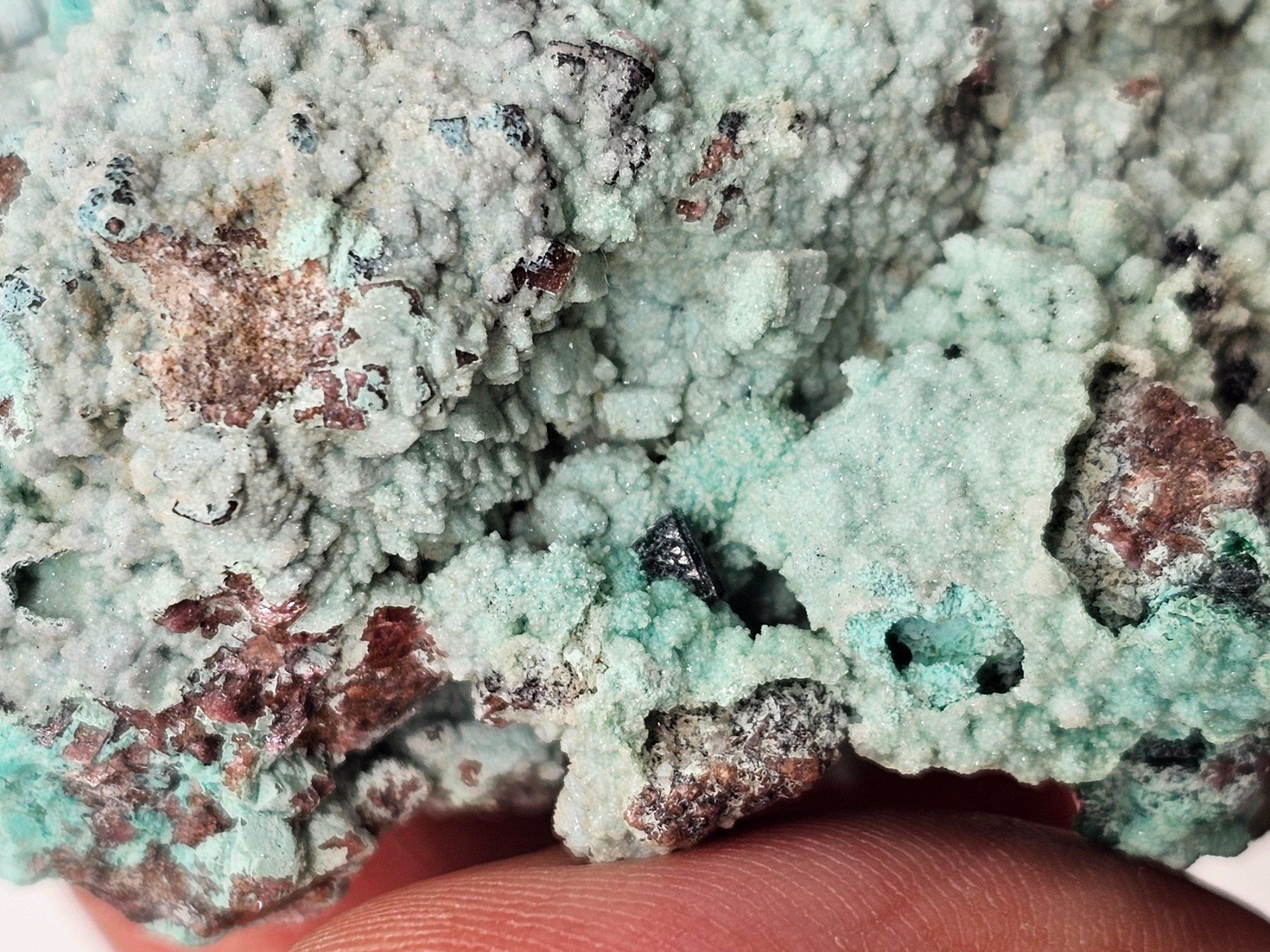 Minerali & Pietre curative: RaRe Euchroite on Chrysocolla, Mürtschenalp, Glarus – Usato da Figino venduto da minshop 8