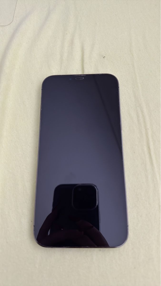 Apple Telefoni cellulari / Smartphones: Apple iPhone 13 Pro Max 128GB – Usato da Bellmund venduto da zor_b8mc