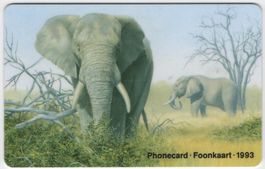 Elefant - seltene Tier Motiv Telefonkarte aus SÜDAFRIKA
