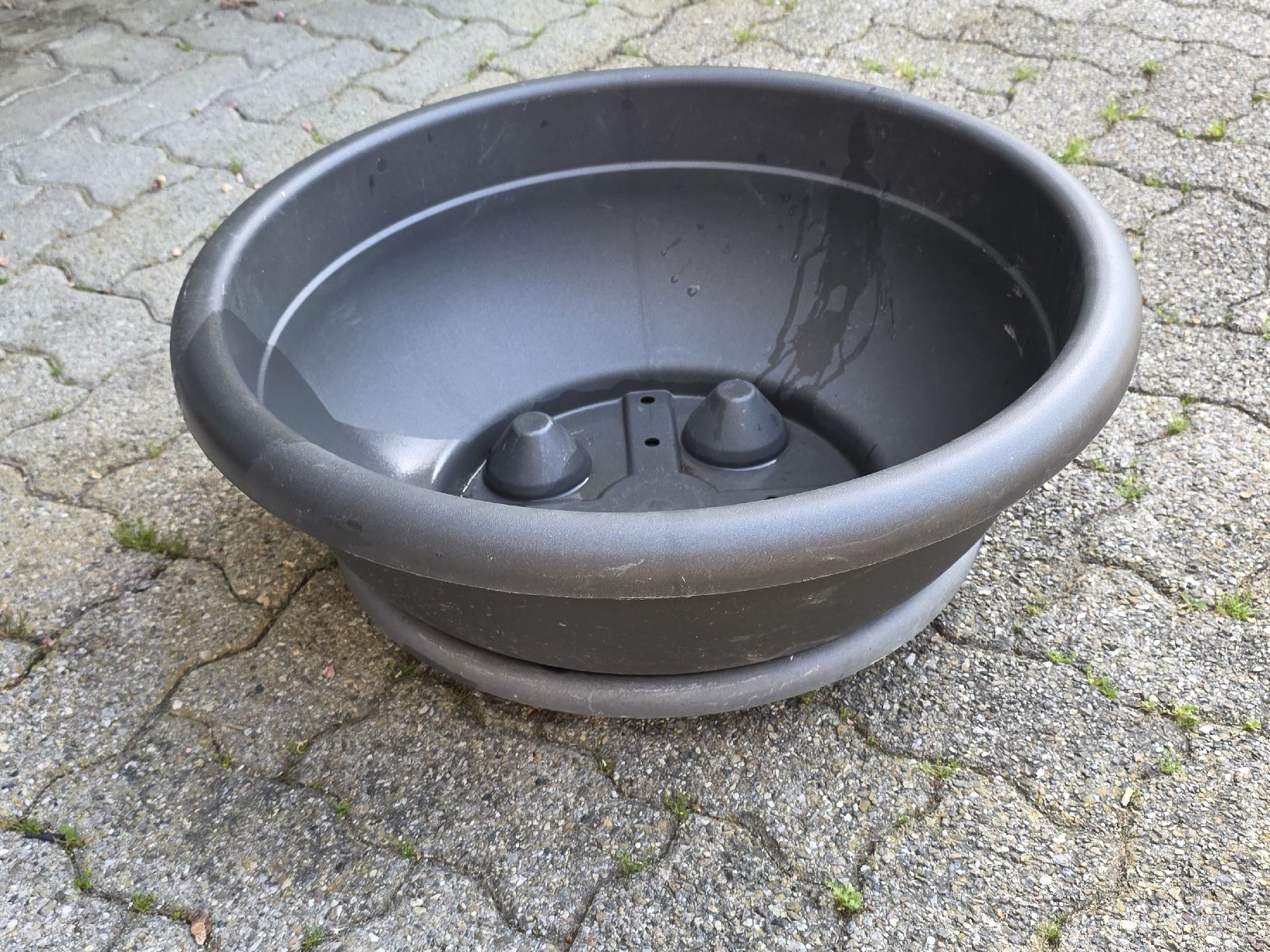 Vasi per fiori: Durable Plastic Plant Pot. – Usato da Hinwil venduto da Ehretstock8 2