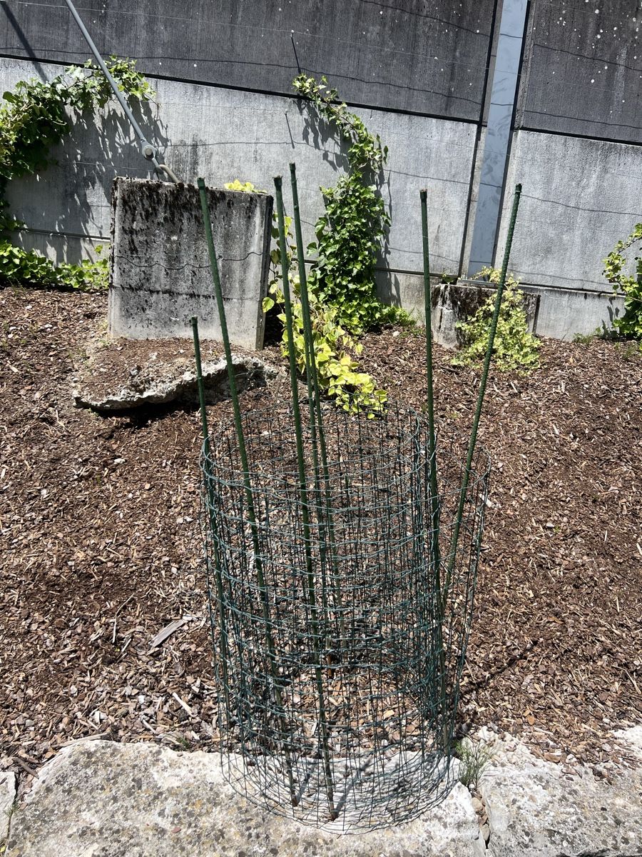 Fendivista: Gartenzaun Grün mit Pfosten – Usato da Würenlos venduto da Storzi01 1
