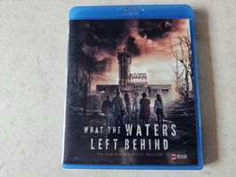 What The Waters Left Behind  /  Bluray