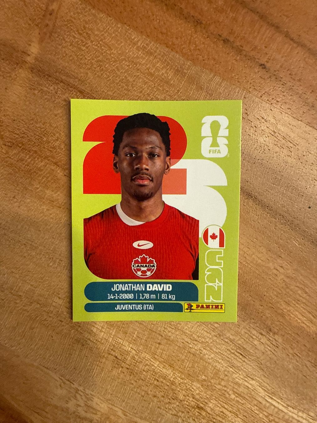 Panini Carte collezionabili: WM 2026 Panini Sticker Jonathan David CAN 20 – Usato da Winterthur venduto da ylaura