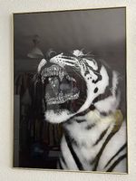 Bild mit Tiger  schwarz-weiss, goldig gerahmt