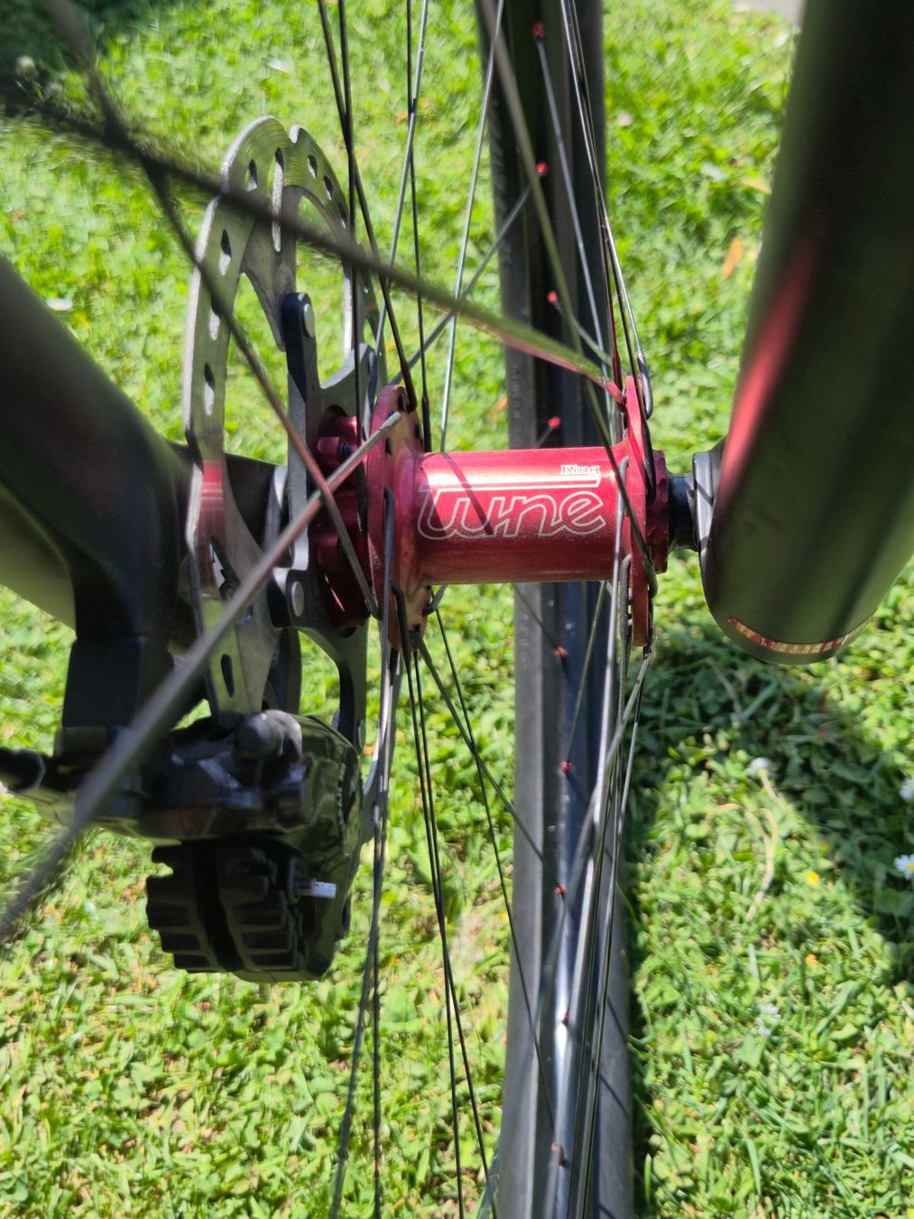 Specialized Biciclette: Custom-Built Specialized Carbon Hardtail 29” - size L - 10.3 – Usato da Kriens venduto da dum_27ww 3
