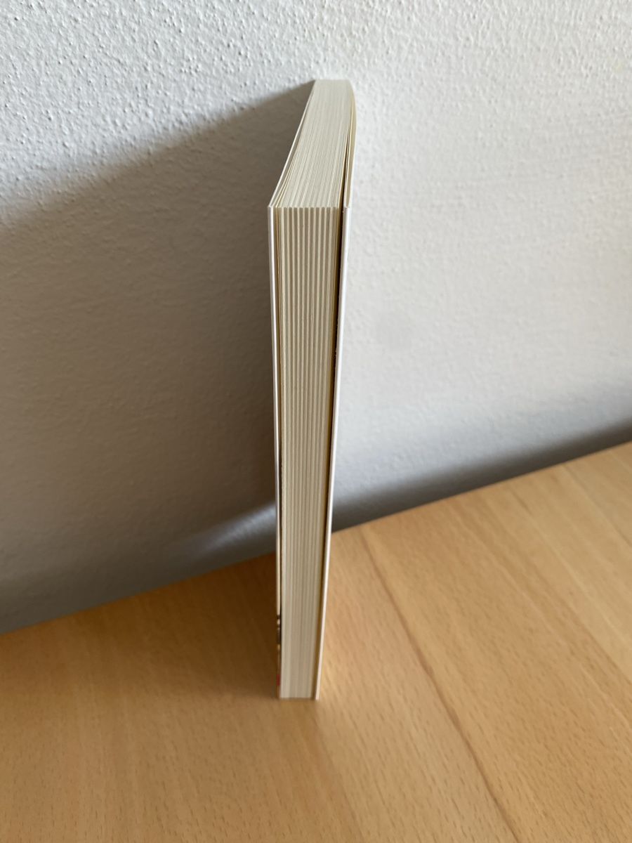 Libri: Wer den Wind sät - Michael Lüders – Usato da Schwarzenburg venduto da Michellu 3