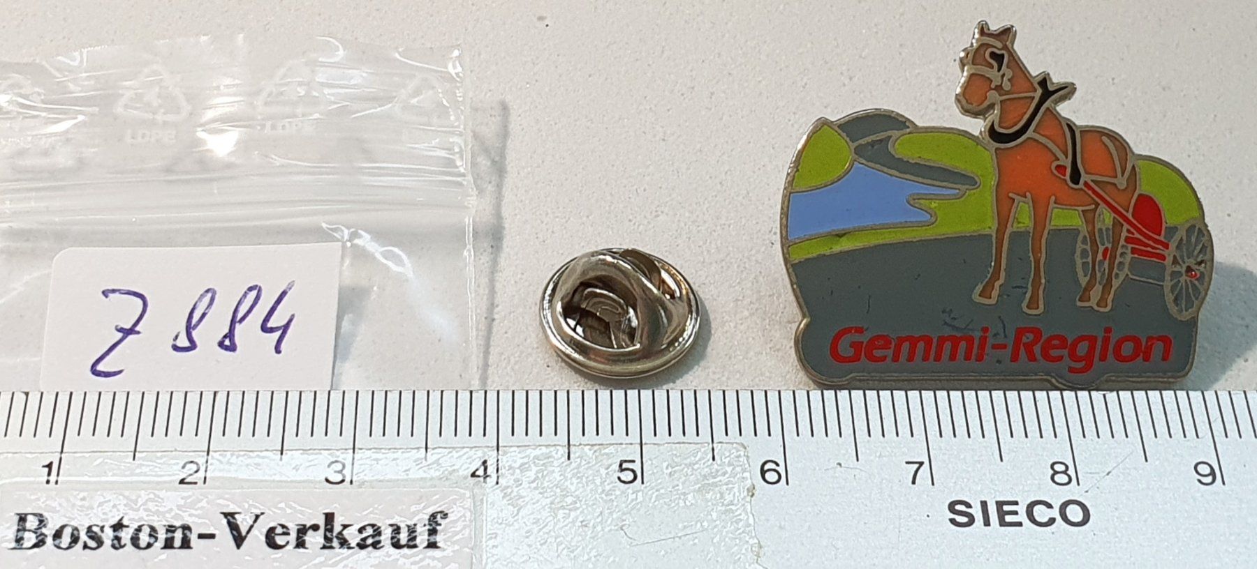 Placchette & Badge: Z884 - Pin Kutsche See Gemmi - Region – Usato da Reinach BL venduto da Boston-Verkauf 1