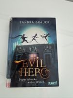 Sandra Grauer Evil Hero Superschurke wider Willen - Buch