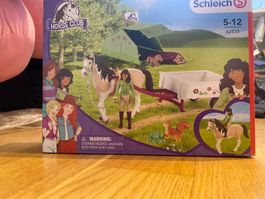 Schleich Horse Club Kutsche Set 42533