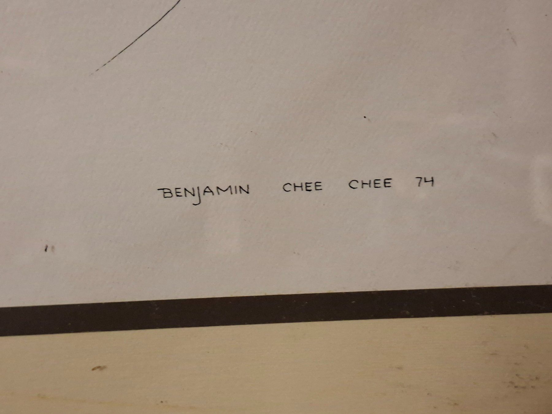 Tableaux: Benjamin Chee , Vögel, 1974, Top Zustand – D'occasion à Schaffhausen par meteor7 3