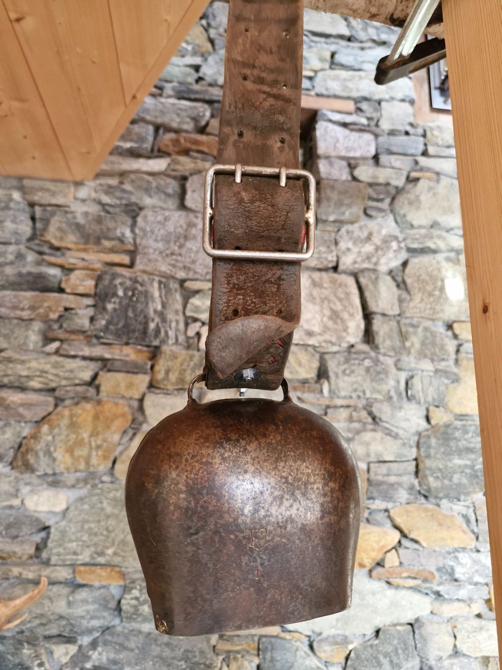 Campanacci mucche: Glocke Treichel – Usato da Guarda venduto da rue_bpd7