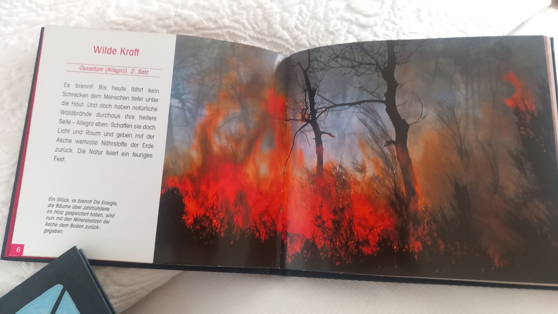 CD: Meditationsalbum mit CD "FEUER" – Nuovo (secondo la descrizione) da Pieterlen venduto da Hofnarr 3