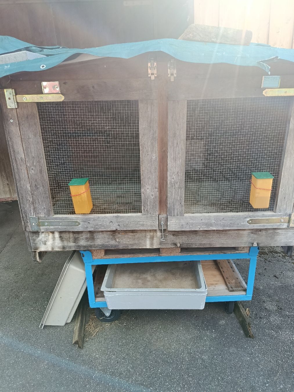 Cages, transport & sécurité: kaninchenstall – D'occasion à Mümliswil par Bloch1