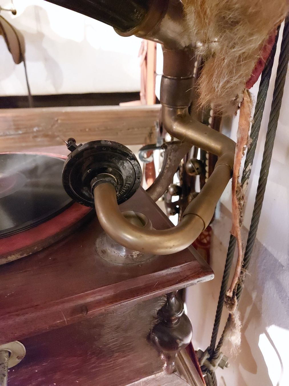 Giradischi: Antikes Grammophon – Usato da Berikon venduto da Lin 1