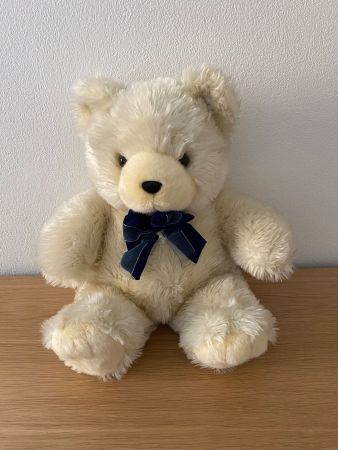 Grosser kuscheliger Teddy (38 cm)