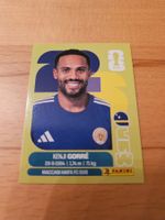 Panini WM 2026 CUW 15