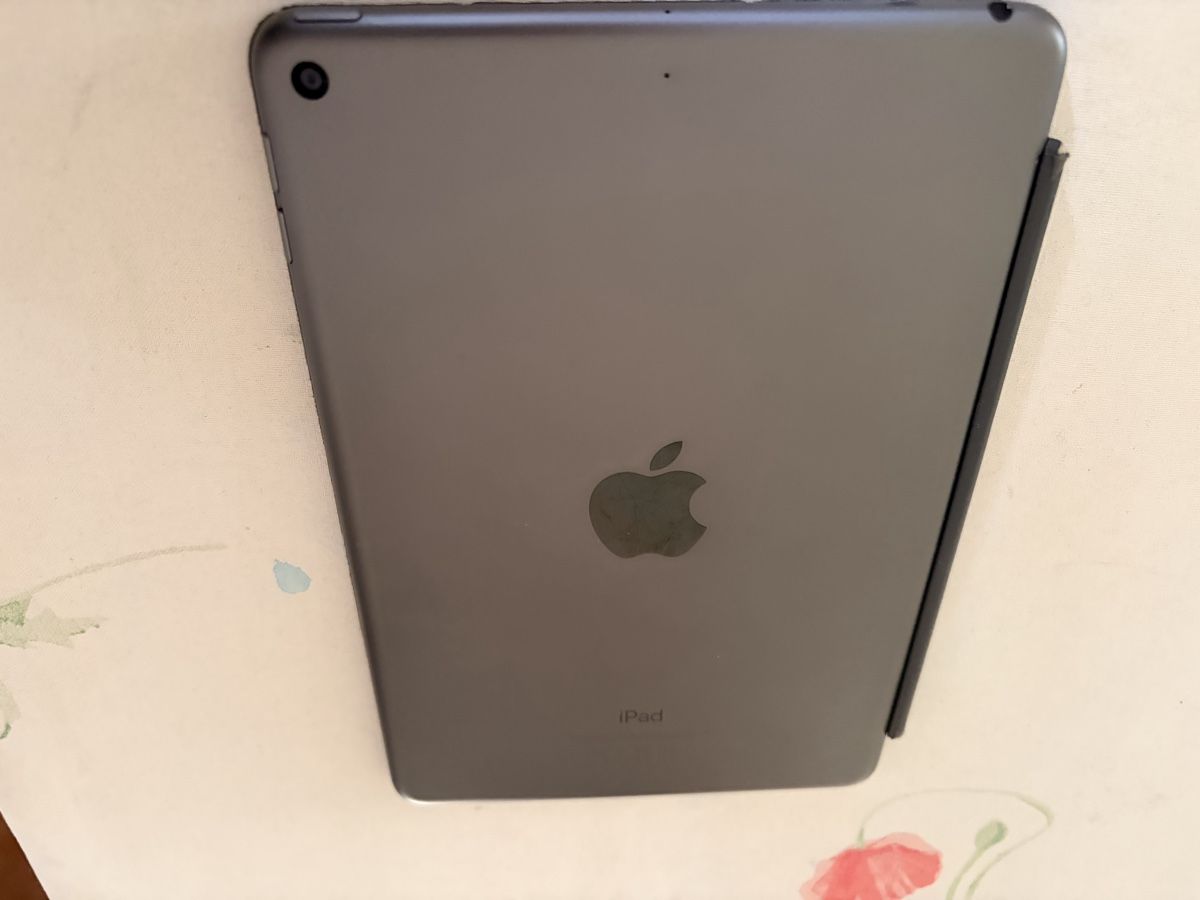 Apple Tablet PC: Apple iPad mini 5. Gen Grau mit Hülle – Usato da Dürnten venduto da binop 5