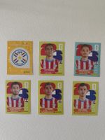FIFA World Cup 2026 Panini Sticker PAR