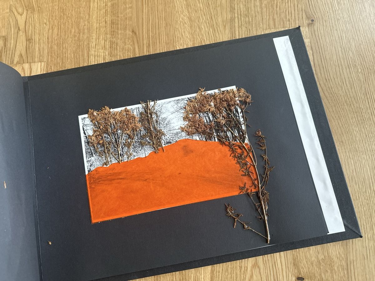 Bücher: Winter Bilderbuch Unikat – Neu (gemäss Beschreibung) aus Rümlang von Laufgitter01 9