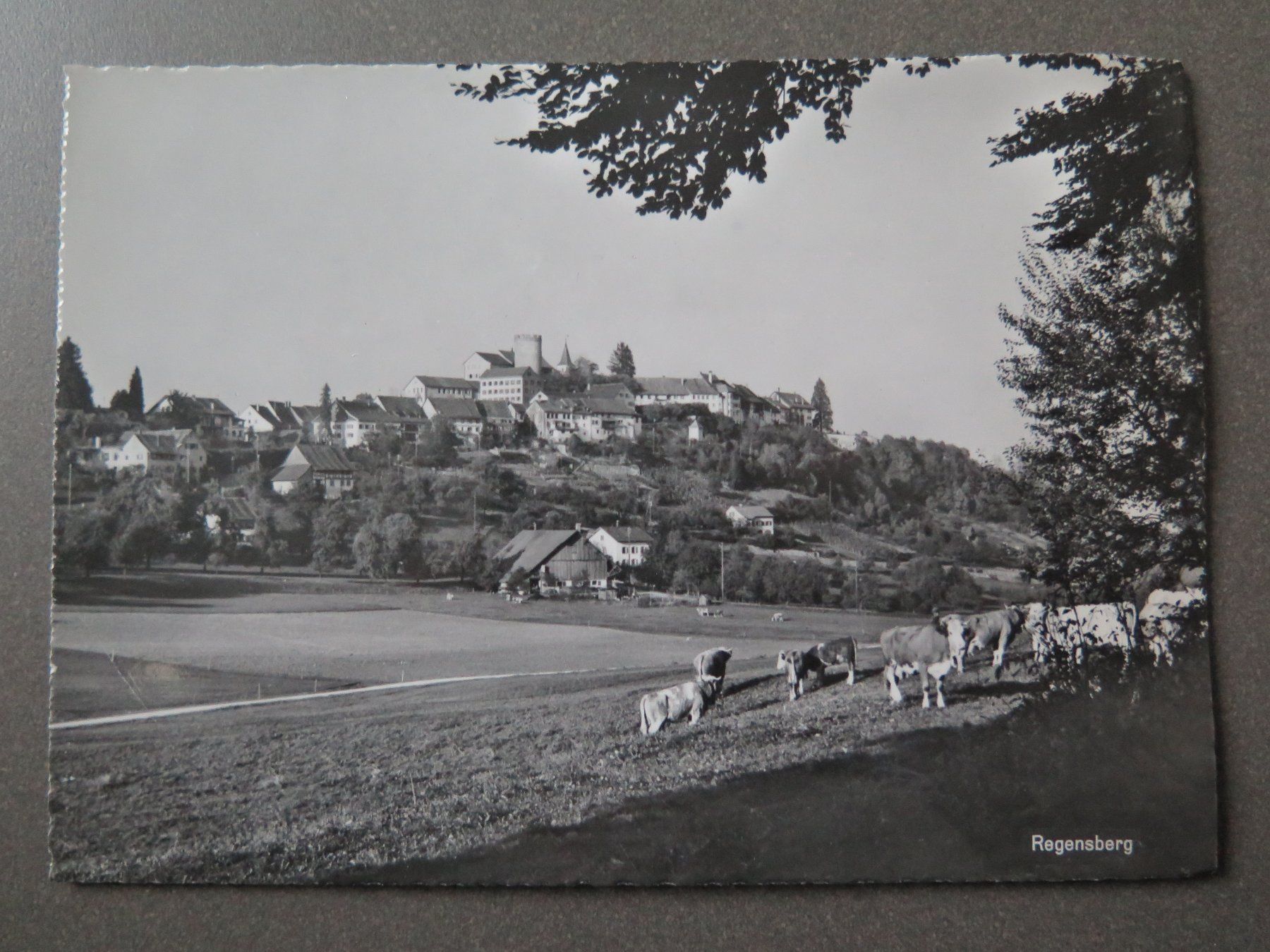 Cartes postales: REGENSBERG – D'occasion à Wittenbach par lipasal
