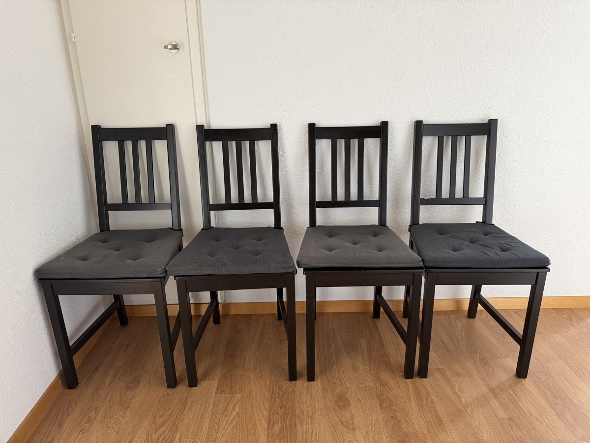 Ikea Sedie: 4 IKEA STEFAN chairs black. Including cushions – Usato da Uster venduto da ann_658q